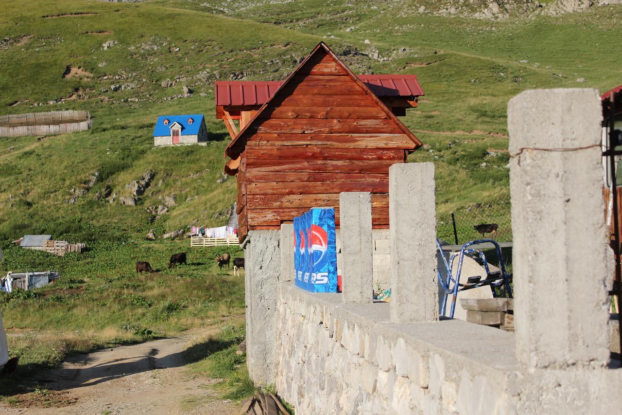 Rural Household Minic - Kapetanovo Jezero Hostel โคลาชิน ภายนอก รูปภาพ